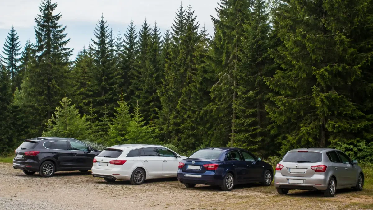 Quatre voitures alignees devant une foret de sapins
