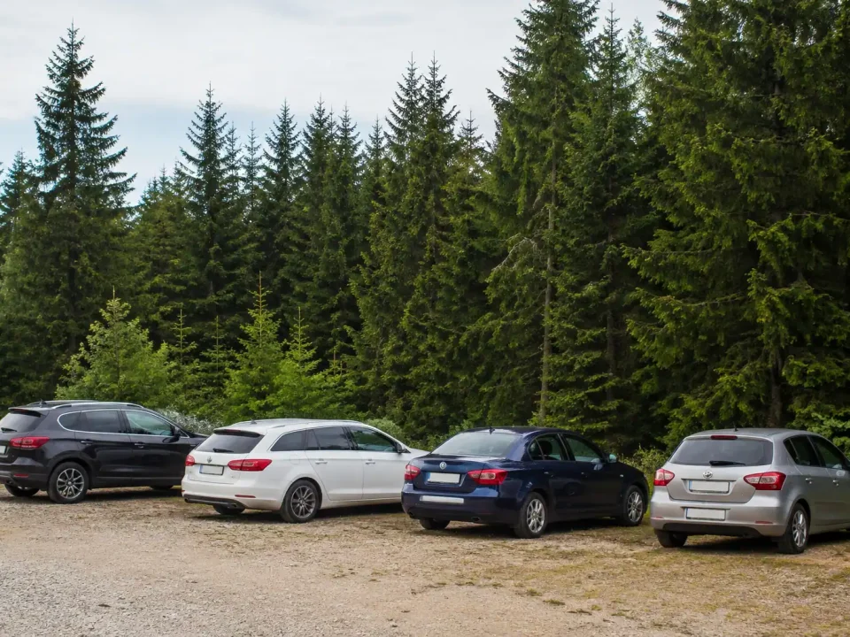 Quatre voitures alignees devant une foret de sapins